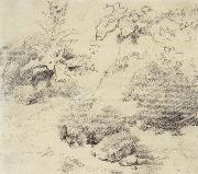 Thomas Gainsborough Study for a Foreground,a Bank with Weeds and Thistles USA oil painting artist